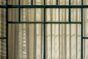 Exploring The Aesthetic Of Biophilic Design In Modern Home Offices