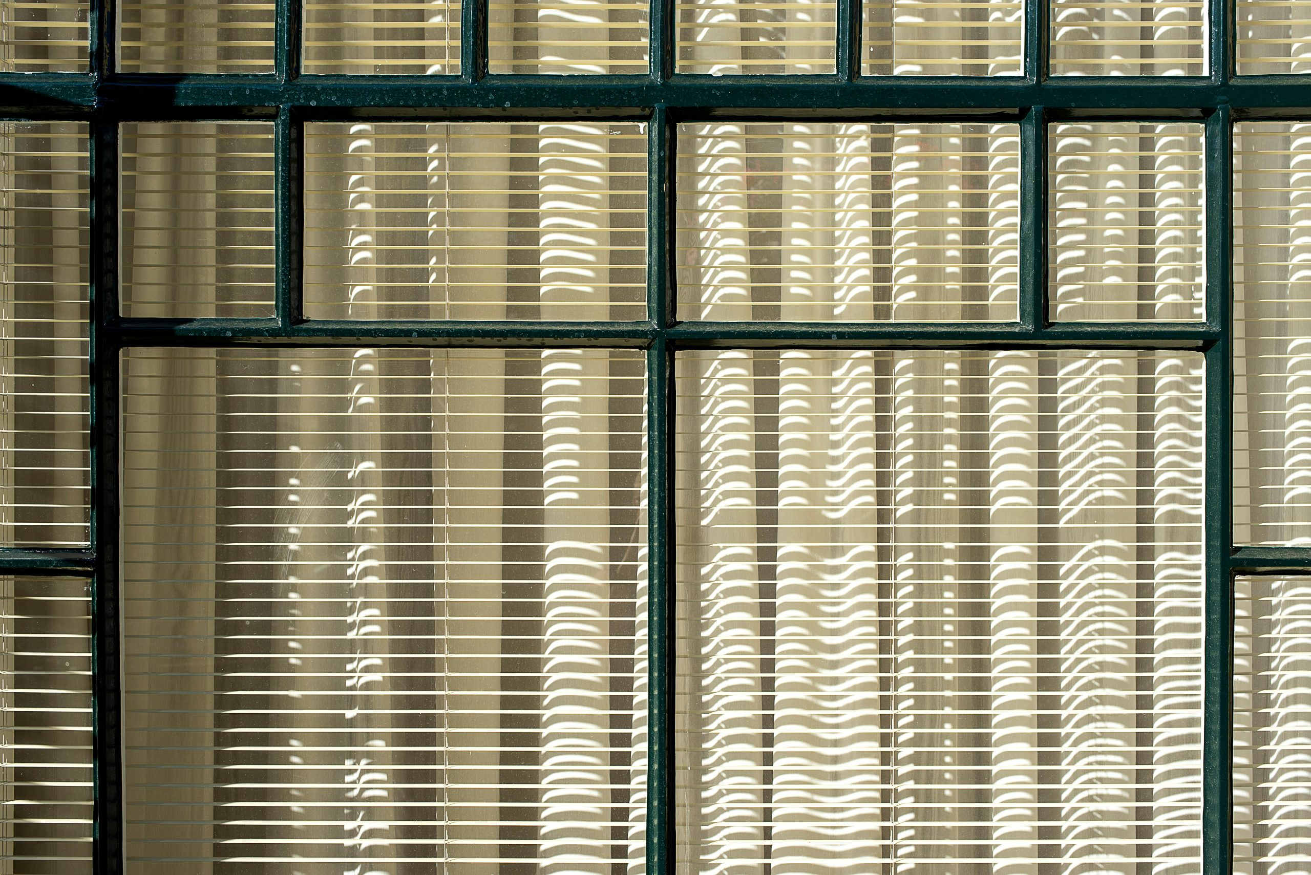 Exploring The Aesthetic Of Biophilic Design In Modern Home Offices