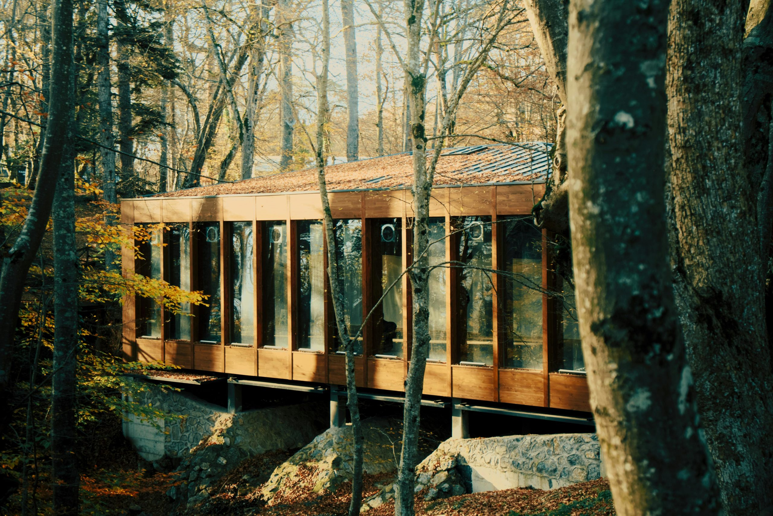 The Rise Of Sustainable Prefabricated Homes In Modern Markets