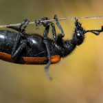 Navigating The World Of Small Business Loans And Grants