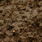The Importance Of Soil Testing Before Buying Rural Land